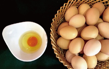 【長田動(dòng)態(tài)】給家人的每一口蛋，都該有“安心答案”——“長田樂享濟(jì)蛋”用“一蛋一碼”破解吃蛋焦慮